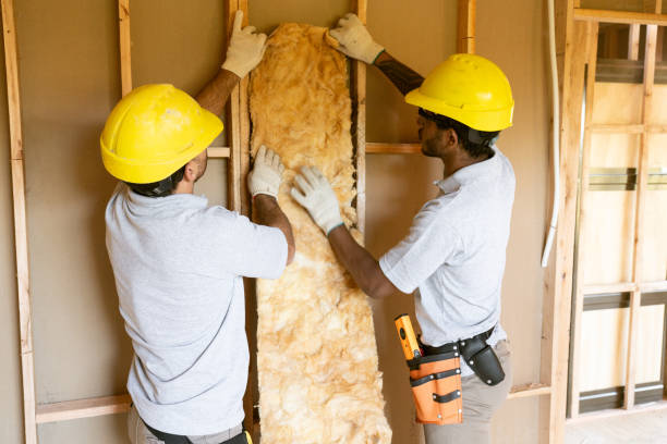 Best Spray Foam Insulation  in Olney, TX